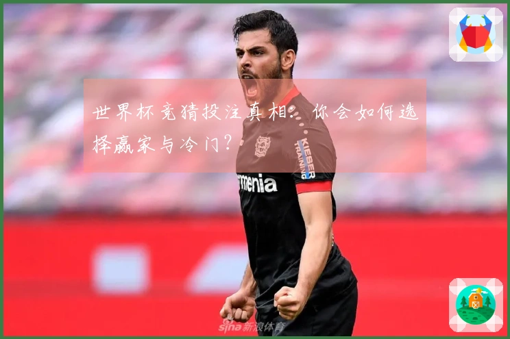 世界杯竞猜投注真相：你会如何选择赢家与冷门？